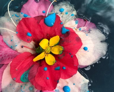 Blooming Rainbow