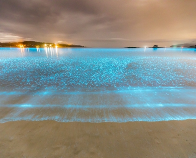 Disco On The Water