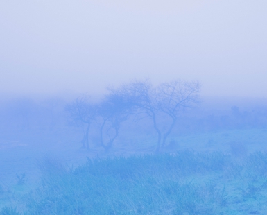 Searching The Void