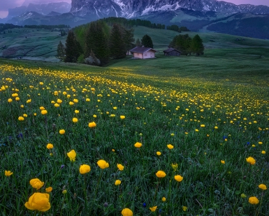 Magenta Riddim | Alpe di Siusi, Italy