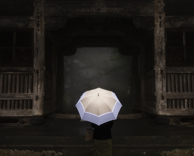 Umbrella