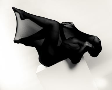 metamorphosis