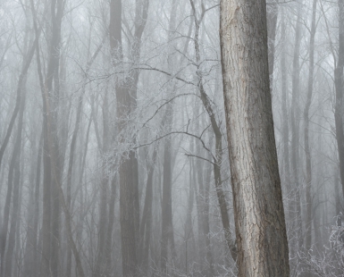 Winter Day