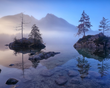 symphony of fog