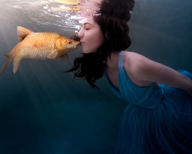 The Fish Prince