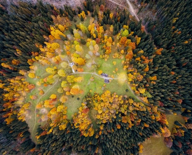 The Heart of Autumn