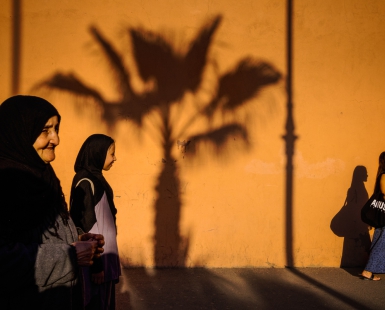 Two Worlds, One Palm Tree