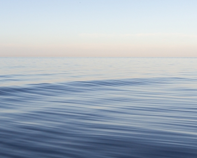 Waves