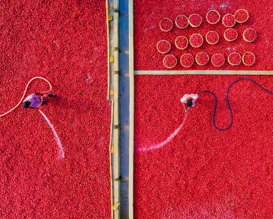 Cleaning Potatoes
