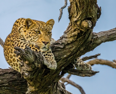 Relaxing 