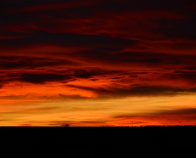 RED HORIZON