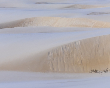 Life On Planet Mars