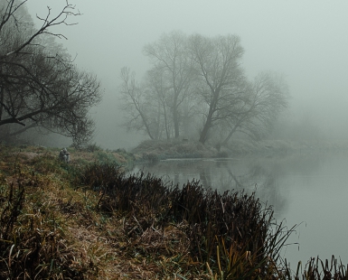 Morning in the fog