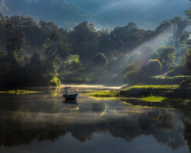 Morning View in Situ Patenggang