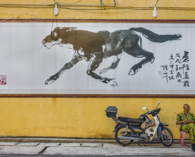 Horse and The Man