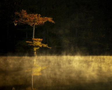 Big Cypress Bayou