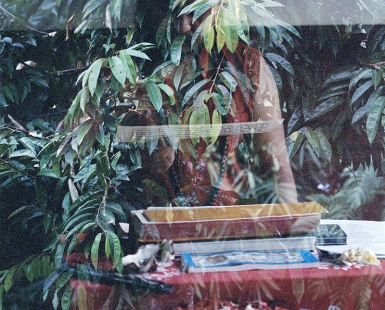 Symbiosis or Breathe In Breathe Out, analogue double exposure