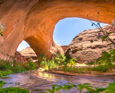 Crossing Coyote Gulch