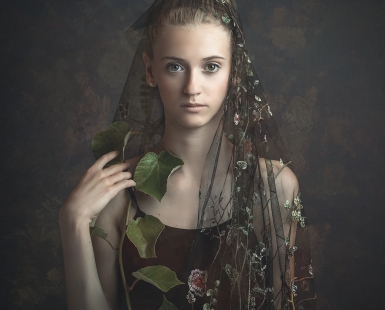 Into the woods