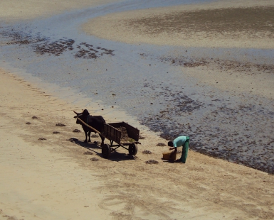 Andilana Beach