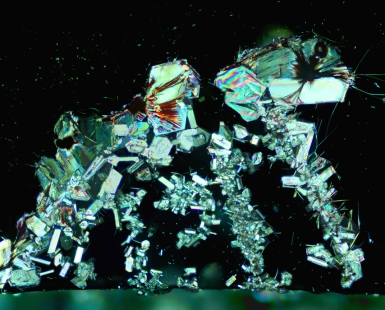 Star Walker