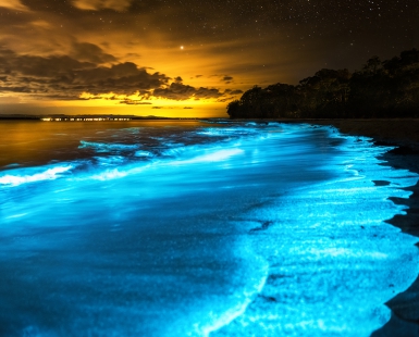 Night of Eywa