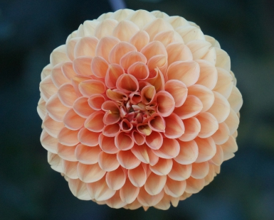 Fractal perfection