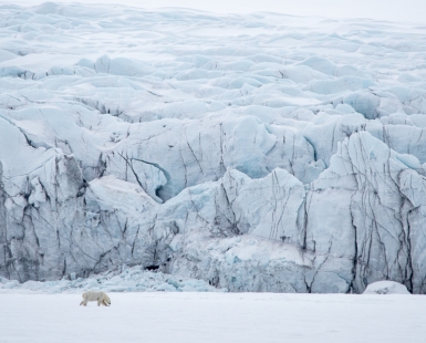 North Of The Wall