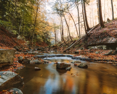Flow of the Seasons
