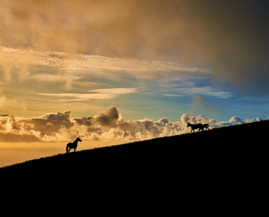Friends at Sunset