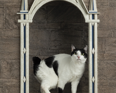Italian architecture with a cat