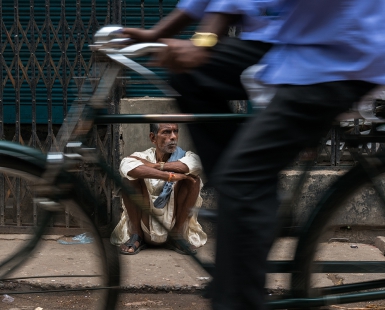 Trapped in the cycle of life