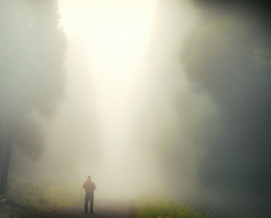 Fog