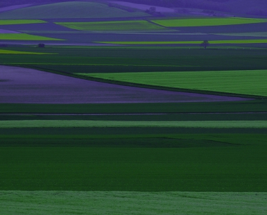 Fields of Dreams