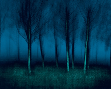 BIRCH BLUES