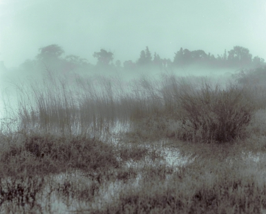 Foggy morning