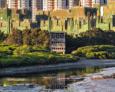 A Bird Hide Trapped in the Urban Jungle