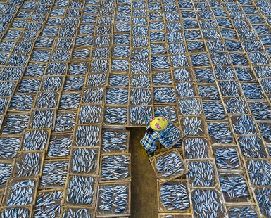 Drying fish