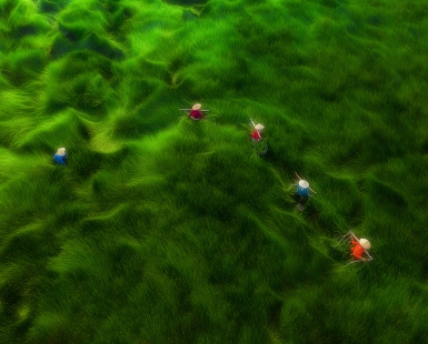 Crossing the field