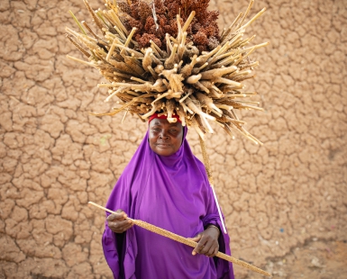 Sahelian Portraits 1: the Millet Farmer - Niger