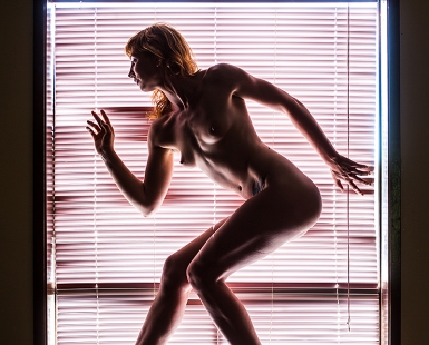 Framed by Light