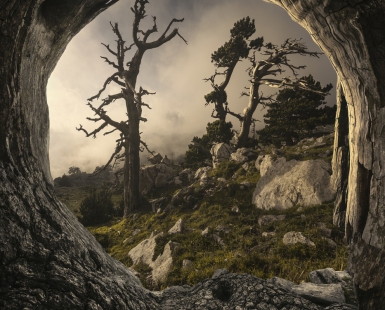 Window to the Past