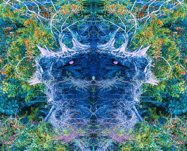 SWAMPROOT DEVIL