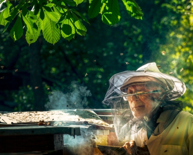 Beekeeper