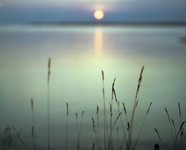 Summer Solstice