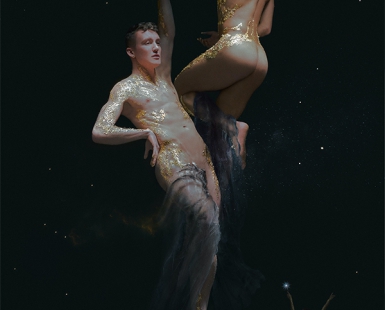 Moonlit Beauties