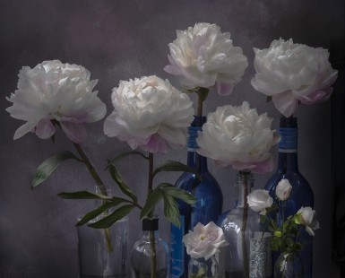 Bottles & Blooms