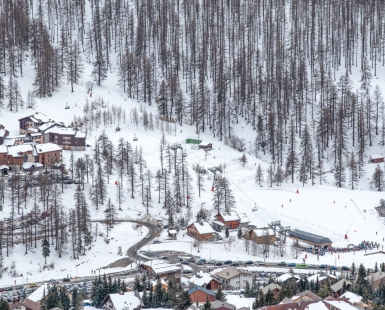 Winter Playgrounds