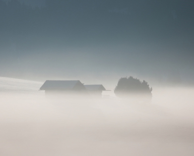 swallowed by fog
