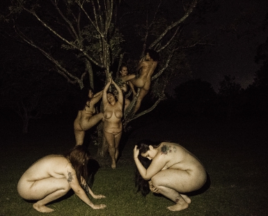 Tree of Life